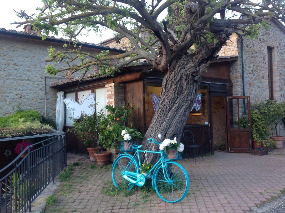 Podere Botruccio Bellaria Pomarance Exterior photo